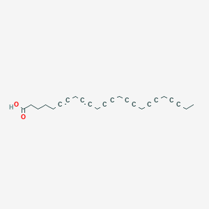 molecular formula C24H24O2 B1241667 6,9,12,15,18,21-Tetracosahexaynoic acid 