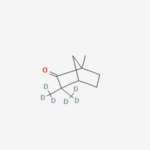 molecular formula C10H16O B12416890 Fenchone-d6 