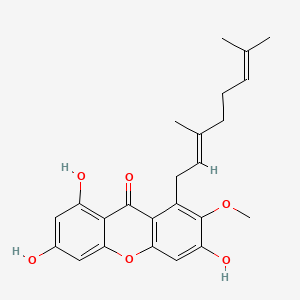 molecular formula C24H26O6 B1241749 Rubraxanthone 