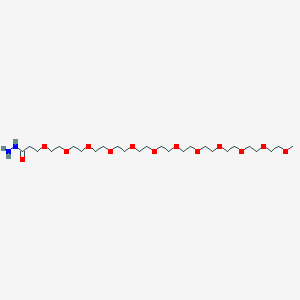 m-PEG12-Hydrazide