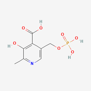 molecular formula C8H10NO7P B1241752 4-吡哆酸 5'-磷酸 CAS No. 954-27-8