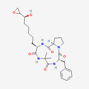 molecular formula C28H40N4O6 B12417545 (3S,9S,12R)-3-benzyl-9-[(6S)-6-hydroxy-6-(oxiran-2-yl)hexyl]-6,6-dimethyl-1,4,7,10-tetrazabicyclo[10.3.0]pentadecane-2,5,8,11-tetrone 