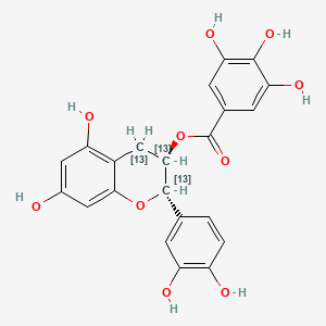 (+/-)-Catechin Gallate-13C3