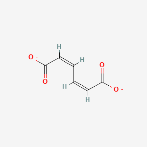 molecular formula C6H4O4-2 B1241781 顺式、顺式-粘康酸 