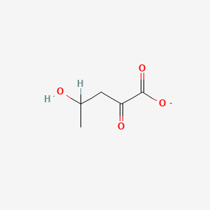 molecular formula C5H7O4- B1241807 4-羟基-2-氧代戊酸 