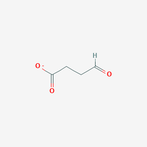 molecular formula C4H5O3- B1241810 4-氧代丁酸盐 