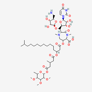 molecular formula C53H87N5O22 B1241838 2-[[(2S,3R,4S,5R)-5-(aminomethyl)-3,4-dihydroxyoxolan-2-yl]oxy-[(2S,3S,4R,5R)-5-(2,4-dioxopyrimidin-1-yl)-3,4-dihydroxyoxolan-2-yl]methyl]-1,4-dimethyl-6-[14-methyl-3-[3-methyl-5-oxo-5-(3,4,5-trimethoxy-6-methyloxan-2-yl)oxypentanoyl]oxypentadecanoyl]oxy-3-oxo-1,4-diazepane-5-carboxylic acid 
