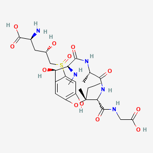 molecular formula C26H39N5O12S B1241840 (2S,4S)-2-氨基-5-[[(3R,4S,7S,10S,11R)-4-(羧甲基氨基羰基)-3-乙基-11,15-二羟基-3,7-二甲基-10-(甲基氨基)-6,9-二氧代-2-氧杂-5,8-二氮杂双环[10.3.1]十六碳-1(15),12(16),13-三烯-13-基]亚磺酰基]-4-羟基戊酸 