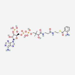 molecular formula C28H41N8O17P3S B1241844 蒽酰辅酶A 