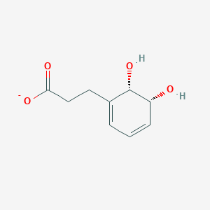 molecular formula C9H11O4- B1241845 3-(顺式-5,6-二羟基环己-1,3-二烯-1-基)丙酸酯 