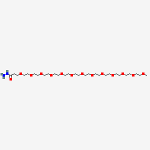 m-PEG13-Hydrazide