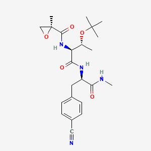 molecular formula C23H32N4O5 B12418832 Btk-IN-5 