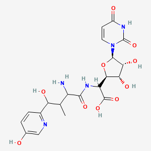 molecular formula C20H25N5O10 B1241885 2-[[2-amino-4-hydroxy-4-(5-hydroxypyridin-2-yl)-3-methylbutanoyl]amino]-2-[(2R,3S,4R,5R)-5-(2,4-dioxopyrimidin-1-yl)-3,4-dihydroxyoxolan-2-yl]acetic acid 