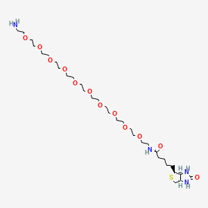 Biotin-PEG10-amine