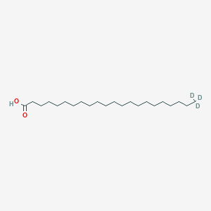 22,22,22-trideuteriodocosanoic acid