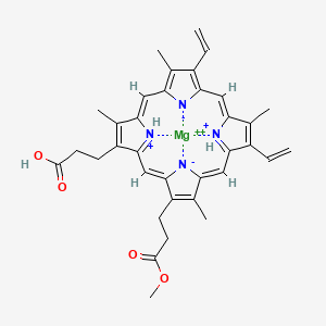 molecular formula C35H36MgN4O4+2 B1241959 Magnesium-protoporphyrin IX 13-monomethyl ester 