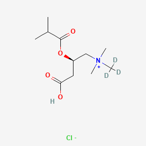 Isobutyryl-L-carnitine-d3 (chloride)