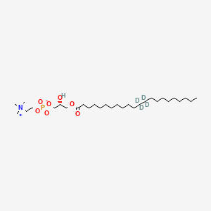 molecular formula C30H62NO7P B12420024 [(2R)-2-hydroxy-3-(12,12,13,13-tetradeuteriodocosanoyloxy)propyl] 2-(trimethylazaniumyl)ethyl phosphate 