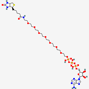 ATP-PEG8-Biotin