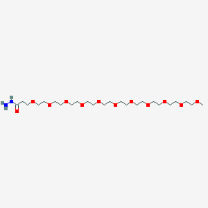 m-PEG11-Hydrazide