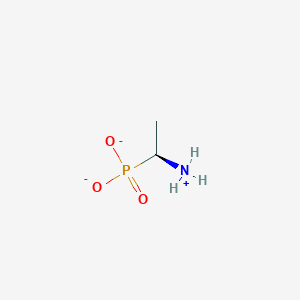 molecular formula C2H7NO3P- B1242020 (S)-1-aminoethylphosphonate 