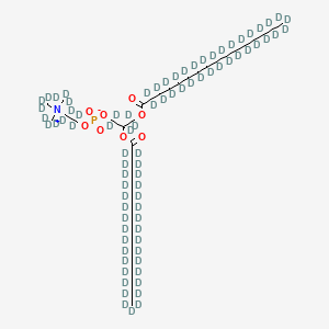 molecular formula C40H80NO8P B12420253 [1,1,2,3,3-pentadeuterio-2,3-bis(2,2,3,3,4,4,5,5,6,6,7,7,8,8,9,9,10,10,11,11,12,12,13,13,14,14,15,15,16,16,16-hentriacontadeuteriohexadecanoyloxy)propyl] [1,1,2,2-tetradeuterio-2-[tris(trideuteriomethyl)azaniumyl]ethyl] phosphate 