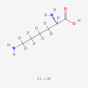 molecular formula C6H15ClN2O2 B12420275 L-Lysine-2,3,3,4,4,5,5,6,6-D9 hcl 