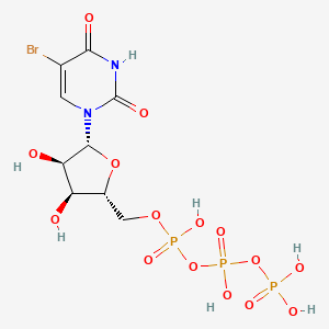 molecular formula C9H14BrN2O15P3 B1242103 5-Bromouridine triphosphate 