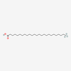 Pentacosanoic acid-d3