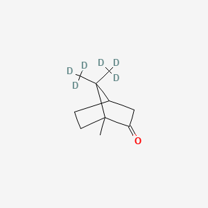 Camphor-d6