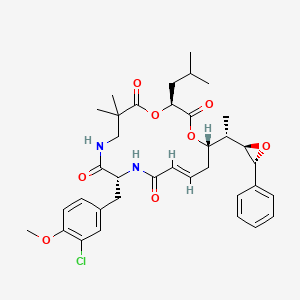 molecular formula C36H45ClN2O8 B1242114 Cryptophycin 52 