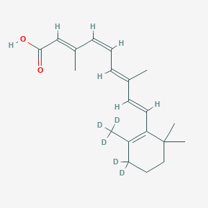 11-cis-Retinoic Acid-d5