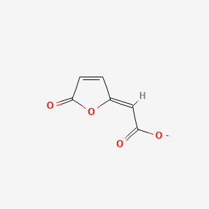 molecular formula C6H3O4- B1242186 cis-Dienelactone 