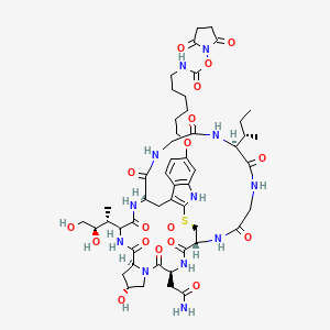 molecular formula C50H70N12O18S B12421994 (2,5-dioxopyrrolidin-1-yl) N-[6-[[(1R,4S,8R,10S,13S,16S,27R,34S)-4-(2-amino-2-oxoethyl)-34-[(2S)-butan-2-yl]-13-[(2R,3R)-3,4-dihydroxybutan-2-yl]-8-hydroxy-2,5,11,14,27,30,33,36,39-nonaoxo-27lambda4-thia-3,6,12,15,25,29,32,35,38-nonazapentacyclo[14.12.11.06,10.018,26.019,24]nonatriaconta-18(26),19(24),20,22-tetraen-22-yl]oxy]hexyl]carbamate 