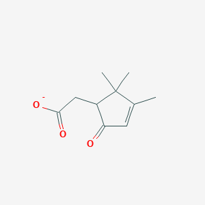 molecular formula C10H13O3- B1242218 (2,2,3-Trimethyl-5-oxocyclopent-3-en-1-yl)acetate 