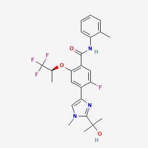 Dhodh-IN-20