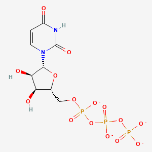 Uridine-triphosphate