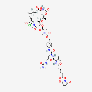 SC-VC-Pab-DM1