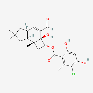 molecular formula C23H27ClO6 B1242418 Melleolide K 