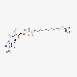 5'-O-[(11-Phenoxyundecanoyl)sulfamoyl]adenosine