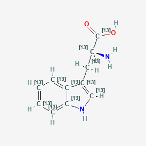 L-Tryptophan-13C11