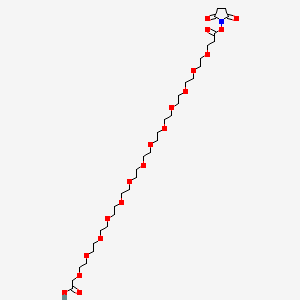 molecular formula C33H59NO19 B12424475 NHS ester-PEG13-COOH 