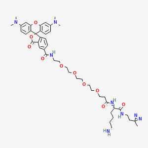 TAMRA-probe 1