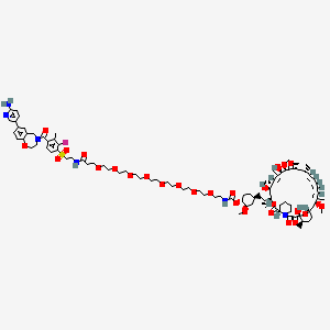 [(1R,2R,4S)-2-methoxy-4-[(2R)-2-[(1R,9S,12S,14R,15R,16E,18R,19R,21R,23S,24E,26E,28E,30S,32S,35R)-1,14,18-trihydroxy-19,30-dimethoxy-15,17,21,23,29,35-hexamethyl-2,3,10,20-tetraoxo-11,36-dioxa-4-azatricyclo[30.3.1.04,9]hexatriaconta-16,24,26,28-tetraen-12-yl]propyl]cyclohexyl] N-[2-[2-[2-[2-[2-[2-[2-[2-[3-[2-[4-[7-(6-aminopyridin-3-yl)-3,5-dihydro-2H-1,4-benzoxazepine-4-carbonyl]-2-fluoro-3-methylphenyl]sulfonylethylamino]-3-oxopropoxy]ethoxy]ethoxy]ethoxy]ethoxy]ethoxy]ethoxy]ethoxy]ethyl]carbamate