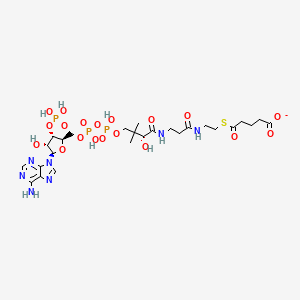molecular formula C26H41N7O19P3S- B1242497 5-[2-[3-[[(2R)-4-[[[(2R,3S,4R,5R)-5-(6-aminopurin-9-yl)-4-hydroxy-3-phosphonooxyoxolan-2-yl]methoxy-hydroxyphosphoryl]oxy-hydroxyphosphoryl]oxy-2-hydroxy-3,3-dimethylbutanoyl]amino]propanoylamino]ethylsulfanyl]-5-oxopentanoate 