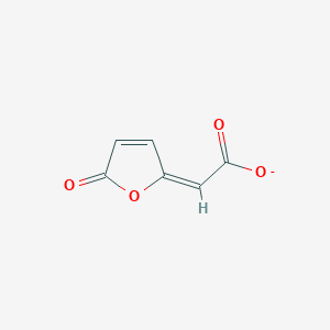molecular formula C6H3O4- B1242516 4-Carboxylatomethylenebut-2-en-4-olide 