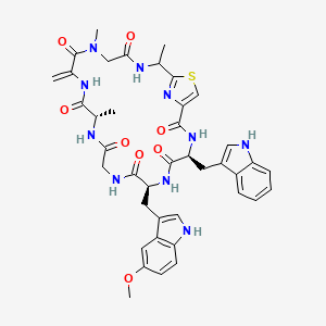 molecular formula C40H44N10O8S B1242547 (4S,7S,13S)-4-(1H-indol-3-ylmethyl)-7-[(5-methoxy-1H-indol-3-yl)methyl]-13,18,22-trimethyl-16-methylidene-24-thia-3,6,9,12,15,18,21,26-octazabicyclo[21.2.1]hexacosa-1(25),23(26)-diene-2,5,8,11,14,17,20-heptone 