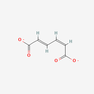 molecular formula C6H4O4-2 B1242550 cis,trans-Muconate 