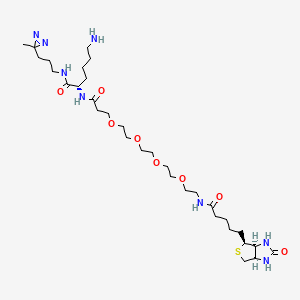 Biotin-probe 1