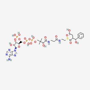 molecular formula C32H46N7O20P3S B1242575 [hydroxy(phenyl)methyl]succinyl-CoA 